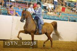 15YN_12258 thumbnail