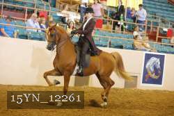 15YN_12261 thumbnail
