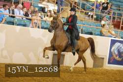 15YN_12268 thumbnail