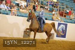 15YN_12271 thumbnail