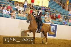 15YN_12272 thumbnail