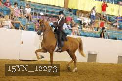 15YN_12273 thumbnail