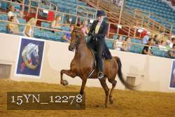 15YN_12278 thumbnail