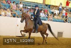 15YN_12280 thumbnail