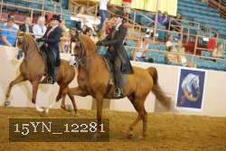 15YN_12281 thumbnail