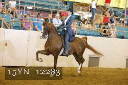 15YN_12283 thumbnail