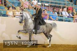 15YN_12287 thumbnail