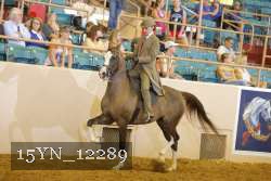 15YN_12289 thumbnail