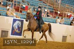 15YN_12291 thumbnail