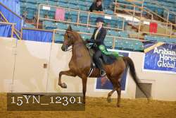 15YN_12301 thumbnail