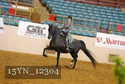 15YN_12304 thumbnail