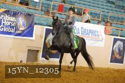 15YN_12305 thumbnail