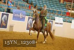 15YN_12308 thumbnail