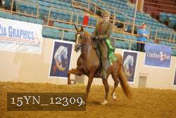15YN_12309 thumbnail