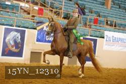15YN_12310 thumbnail