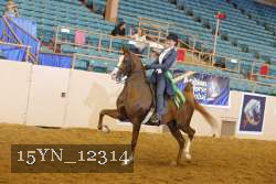 15YN_12314 thumbnail