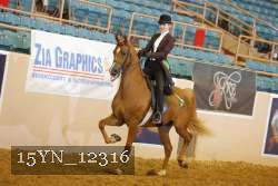 15YN_12316 thumbnail