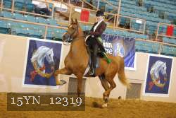 15YN_12319 thumbnail