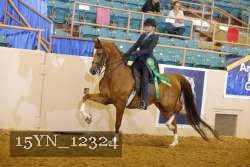 15YN_12324 thumbnail