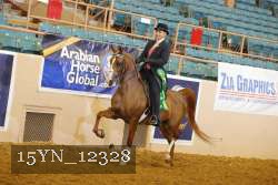 15YN_12328 thumbnail