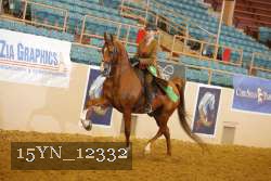15YN_12332 thumbnail