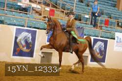 15YN_12333 thumbnail
