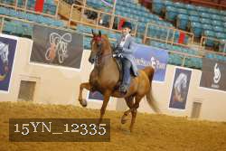 15YN_12335 thumbnail