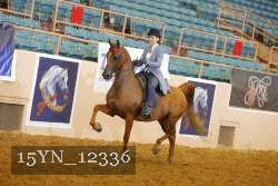 15YN_12336 thumbnail