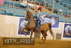 15YN_12337 thumbnail