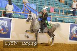 15YN_12343 thumbnail