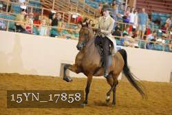 15YN_17858 thumbnail
