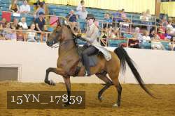 15YN_17859 thumbnail