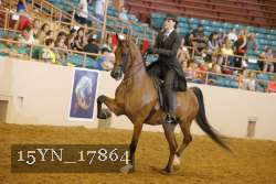 15YN_17864 thumbnail