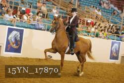 15YN_17870 thumbnail
