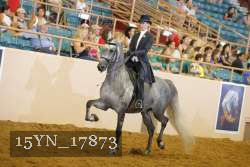 15YN_17873 thumbnail