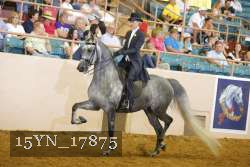 15YN_17875 thumbnail
