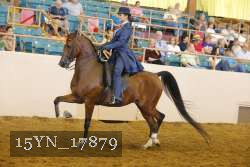 15YN_17879 thumbnail
