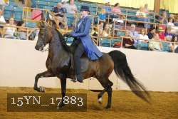 15YN_17883 thumbnail