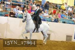 15YN_17894 thumbnail