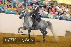 15YN_17897 thumbnail