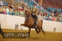 15YN_17910 thumbnail