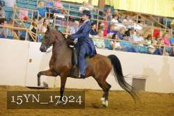 15YN_17924 thumbnail