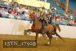 15YN_17925 thumbnail