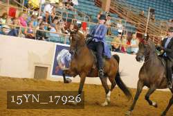 15YN_17926 thumbnail