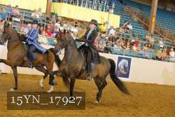 15YN_17927 thumbnail