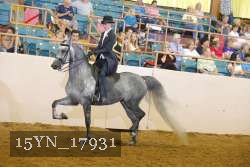 15YN_17931 thumbnail