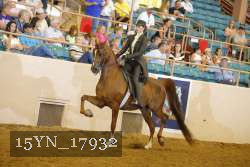 15YN_17932 thumbnail