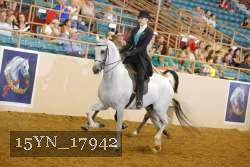 15YN_17942 thumbnail