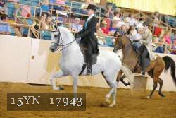 15YN_17943 thumbnail
