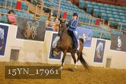 15YN_17961 thumbnail